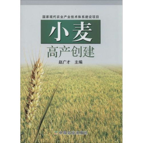 现代农业,小麦,发育,小论文