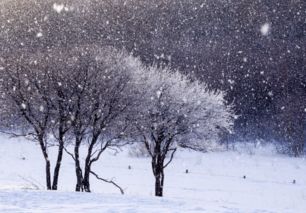 关于描写雪的诗歌,描写自然风光的国外诗歌,描写雪的现代诗歌