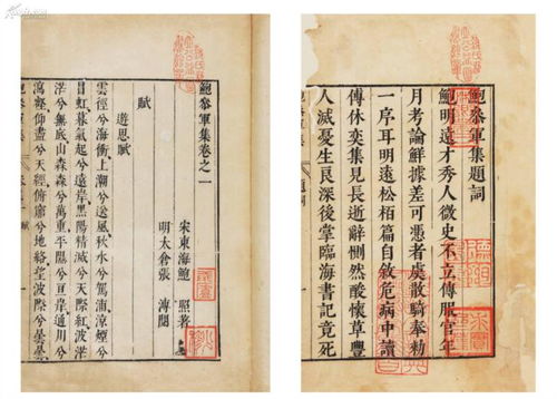 唐代诗歌对后世的影响有哪些,唐代诗歌对后世的影响作文,盛唐诗歌对后世的影响