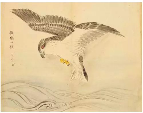 大雁在中国古代诗歌中的象征意义