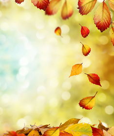 关于秋季传染病的诗歌,关于秋季和冬季的诗歌,秋季预防疾病的诗歌