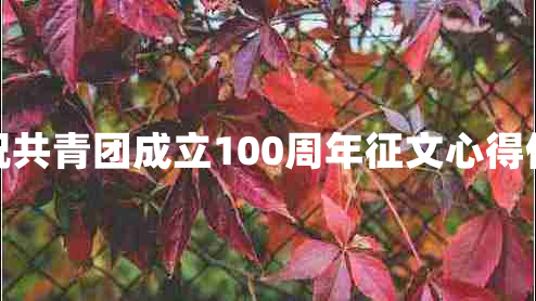 庆祝共青团成立100周年征文心得体会